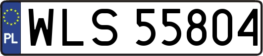 WLS55804