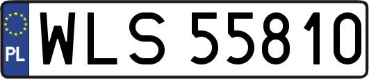WLS55810
