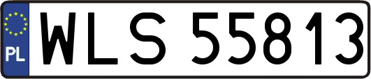 WLS55813