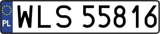 WLS55816