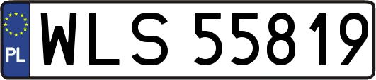 WLS55819