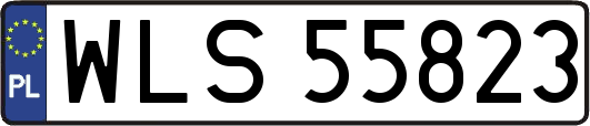 WLS55823