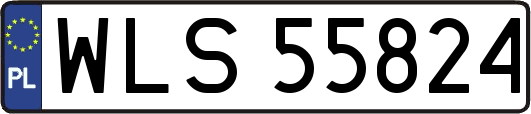 WLS55824