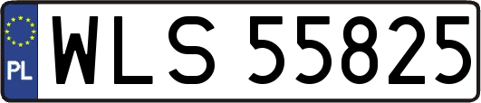 WLS55825