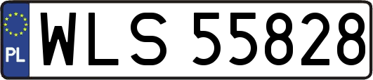 WLS55828