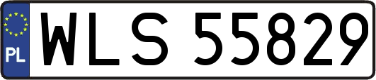 WLS55829