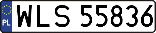 WLS55836