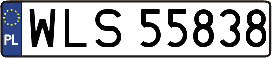 WLS55838