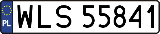 WLS55841