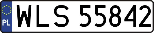 WLS55842
