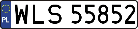 WLS55852