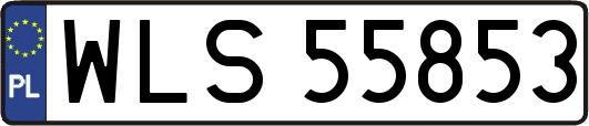 WLS55853