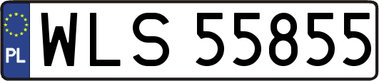 WLS55855