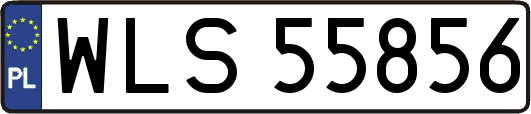WLS55856