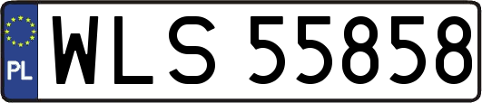 WLS55858