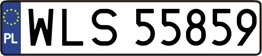 WLS55859