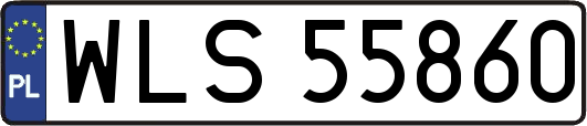 WLS55860