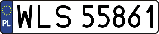 WLS55861