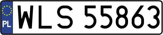 WLS55863