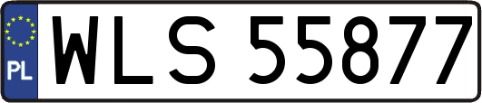 WLS55877
