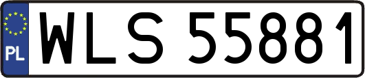 WLS55881