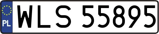 WLS55895