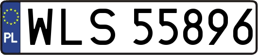 WLS55896