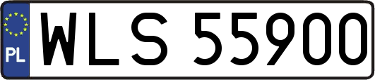 WLS55900