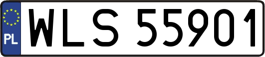WLS55901
