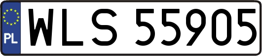 WLS55905