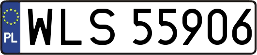 WLS55906