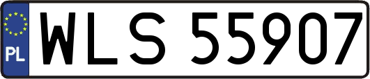 WLS55907