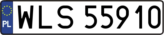 WLS55910
