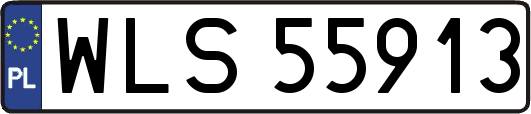 WLS55913