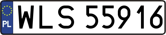 WLS55916