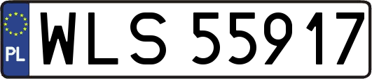WLS55917