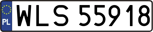 WLS55918