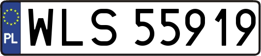 WLS55919