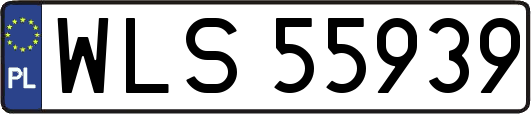 WLS55939