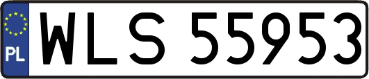 WLS55953
