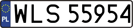 WLS55954