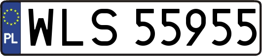 WLS55955