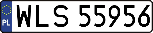 WLS55956