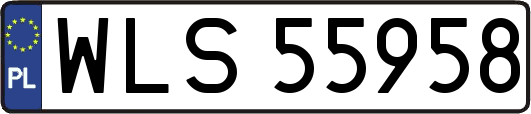 WLS55958