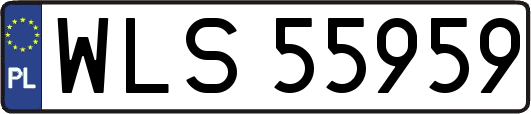 WLS55959