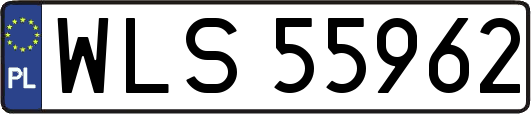 WLS55962