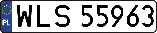 WLS55963