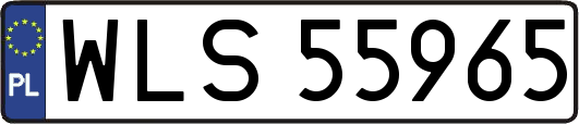WLS55965