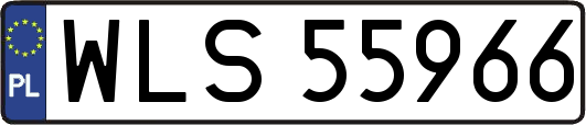 WLS55966