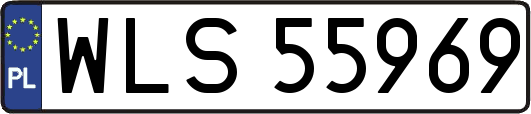 WLS55969